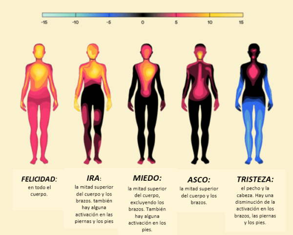 Así se sienten las emociones en el cuerpo.