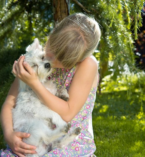 Beso a perrito