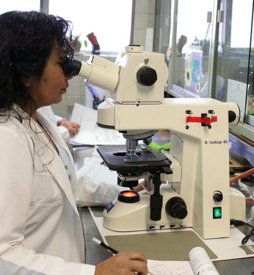 investigación para la salud.